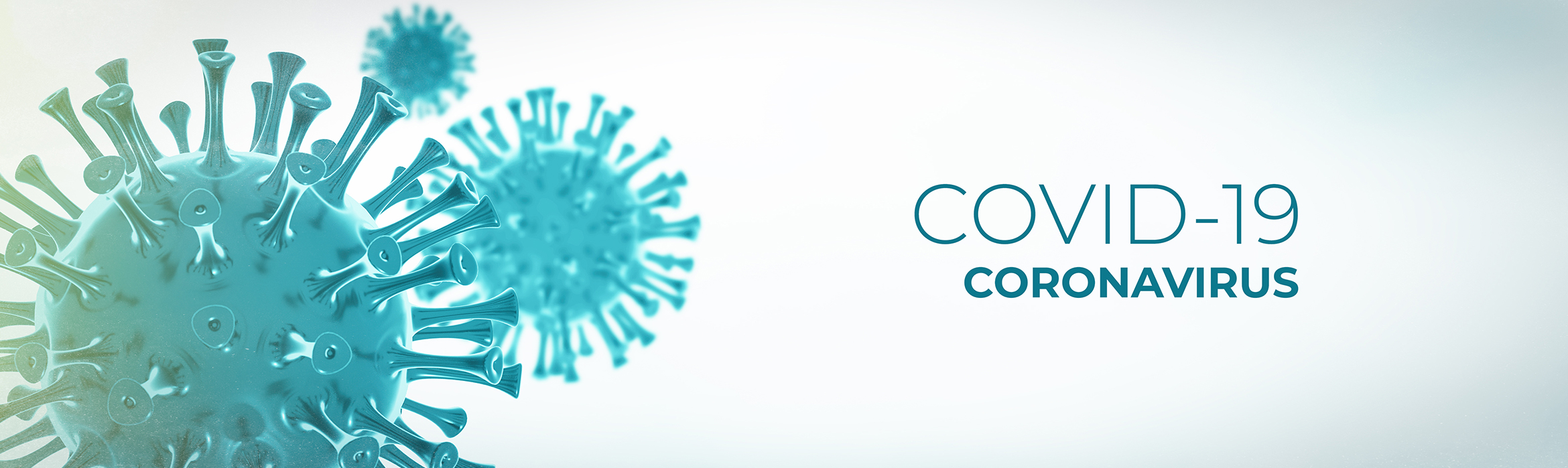 Virus del covid-19